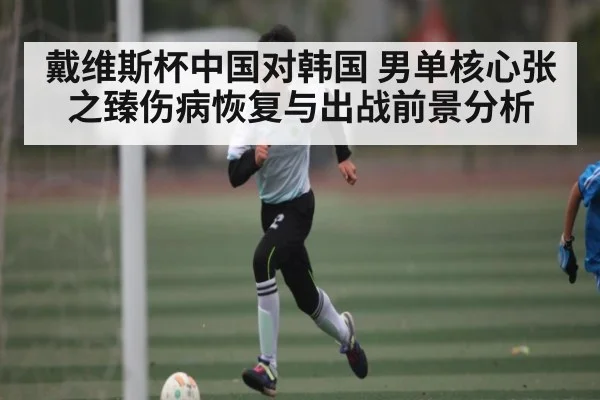 戴维斯杯中国对韩国 男单核心张之臻伤病恢复与出战前景分析